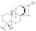 Atisane Diagram